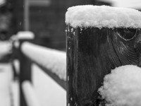 2022 12 05 blatten schnee