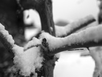 2022 12 05 blatten schnee