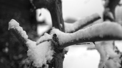 2022 12 05 blatten schnee