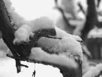 2022 12 05 blatten schnee