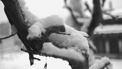 2022 12 05 blatten schnee