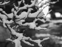 2022 12 05 blatten schnee