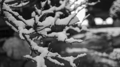 2022 12 05 blatten schnee