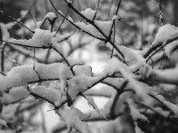 2022 12 05 blatten schnee