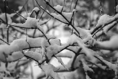 2022 12 05 blatten schnee