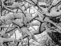 2022 12 05 blatten schnee