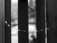 2022 12 05 blatten schnee