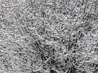 20222 09 blatten schnee