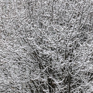 20222 09 blatten schnee