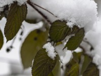 2022 12 09 blatten schnee