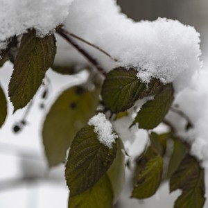 2022 12 09 blatten schnee