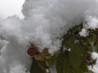 2022 12 09 blatten schnee