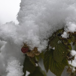 2022 12 09 blatten schnee