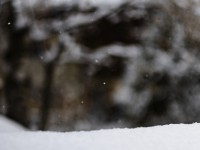 2022 12 09 blatten schnee