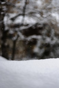 2022 12 09 blatten schnee