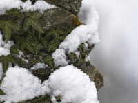 2022 12 09 blatten schnee