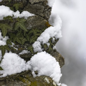 2022 12 09 blatten schnee