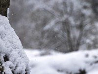 2022 12 09 blatten schnee