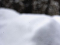 2022 12 09 blatten schnee