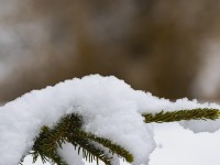 2022 12 09 blatten schnee