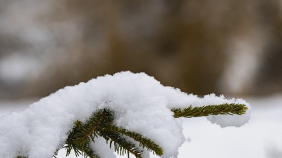 2022 12 09 blatten schnee