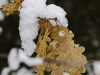 2022 12 09 blatten schnee