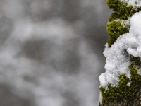 2022 12 09 blatten schnee