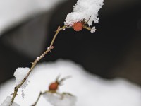 2022 12 09 blatten schnee