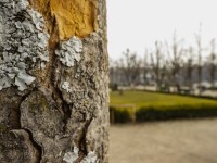 2022 raeume oeffnen shiftpanoramen  1 von 