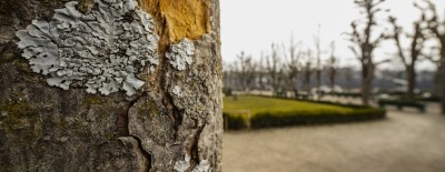 2022 raeume oeffnen shiftpanoramen  1 von 