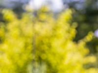 2022 raeume oeffnen shiftpanoramen  21 von 