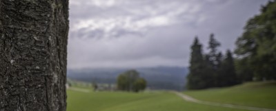 2022 raeume oeffnen shiftpanoramen  25 von 