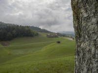 2022 raeume oeffnen shiftpanoramen  26 von 