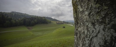 2022 raeume oeffnen shiftpanoramen  26 von 