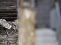 2022 raeume oeffnen shiftpanoramen  46 von 