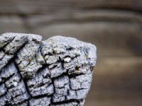 2022 raeume oeffnen shiftpanoramen  48 von 