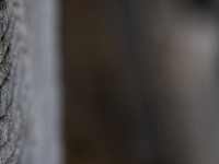 2022 raeume oeffnen shiftpanoramen  67 von 