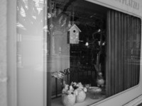 2023 03 21 spiegelungen rotfilter  5 von 