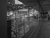 2023 04 11 rotfilter spiegelungen  10 von 