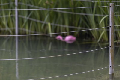 2023 07 08 blatten impressionen