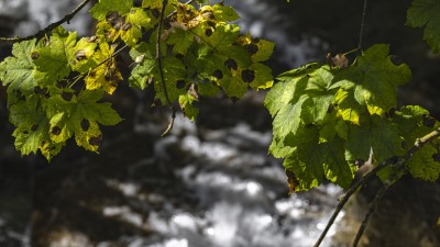 2023 10 22 blatten impressionen