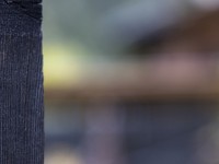 20230 24 blatten impressionen