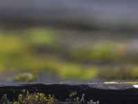 2023 10 24 blatten impressionen