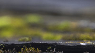 2023 10 24 blatten impressionen