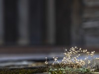 2023 10 24 blatten impressionen