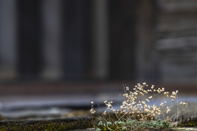 2023 10 24 blatten impressionen