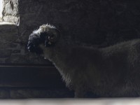 2023 10 24 blatten impressionen