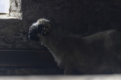 2023 10 24 blatten impressionen