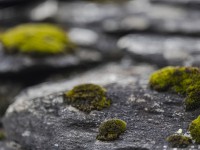 2023 10 24 blatten impressionen