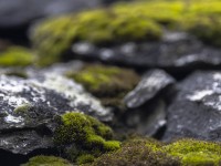 2023 10 24 blatten impressionen